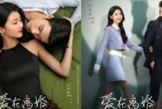 Drama Love in the Edge of Divorce (2025) 25 Bölüm Altyazılı Türkçe İzle, Hala Yüksek Güvenle!