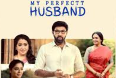 Çin Draması She and Her Perfect Husband (2024) Full Bölüm Türkçe Sub İzlemek için Bağlantı